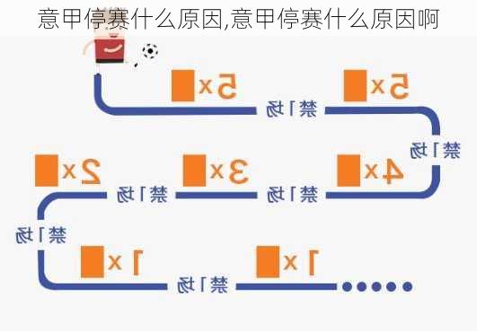 意甲停赛什么原因,意甲停赛什么原因啊