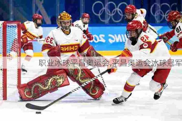 职业冰球平昌奥运会,平昌奥运会冰球冠军