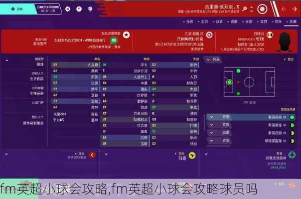 fm英超小球会攻略,fm英超小球会攻略球员吗