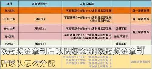 欧冠奖金拿到后球队怎么分,欧冠奖金拿到后球队怎么分配