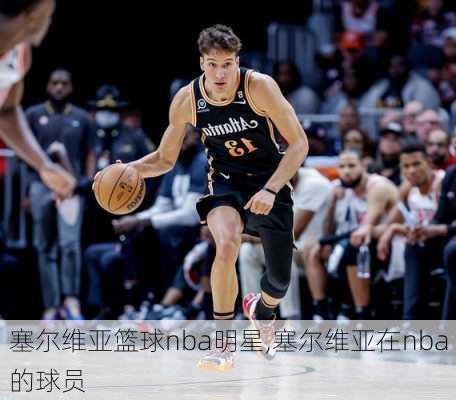 塞尔维亚篮球nba明星,塞尔维亚在nba的球员