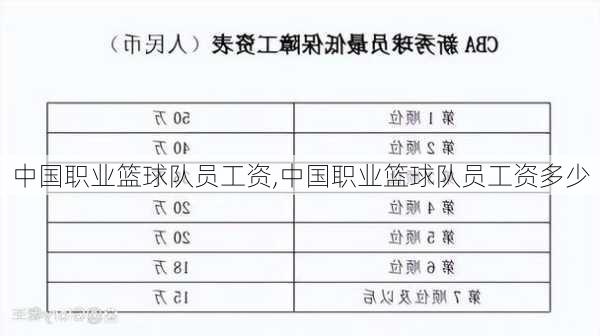 中国职业篮球队员工资,中国职业篮球队员工资多少