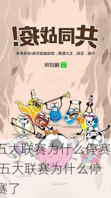 五大联赛为什么停赛,五大联赛为什么停赛了