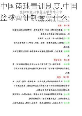 中国篮球青训制度,中国篮球青训制度是什么