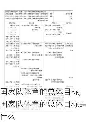 国家队体育的总体目标,国家队体育的总体目标是什么