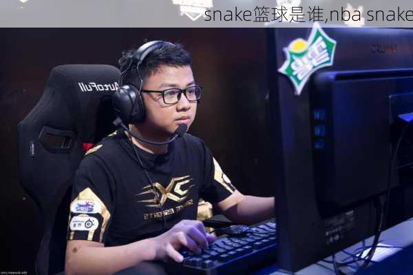 snake篮球是谁,nba snake