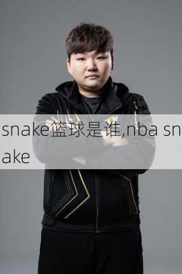 snake篮球是谁,nba snake