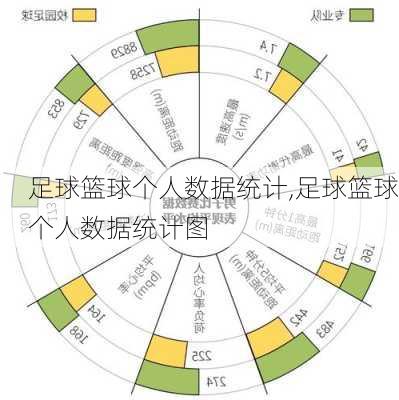 足球篮球个人数据统计,足球篮球个人数据统计图