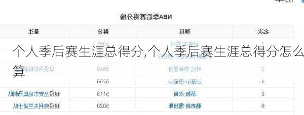 个人季后赛生涯总得分,个人季后赛生涯总得分怎么算