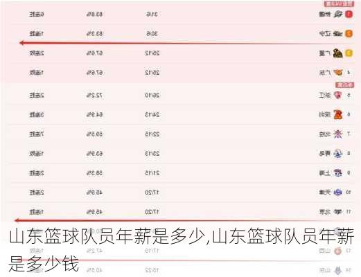 山东篮球队员年薪是多少,山东篮球队员年薪是多少钱