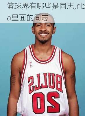 篮球界有哪些是同志,nba里面的同志