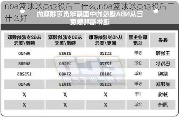 nba篮球球员退役后干什么,nba篮球球员退役后干什么好