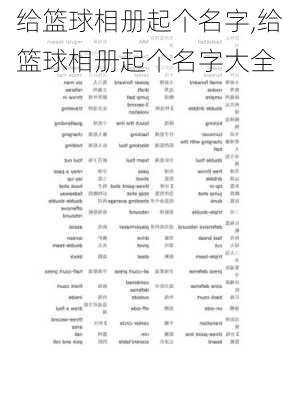 给篮球相册起个名字,给篮球相册起个名字大全