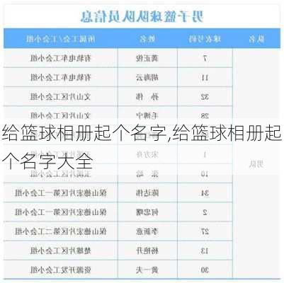 给篮球相册起个名字,给篮球相册起个名字大全