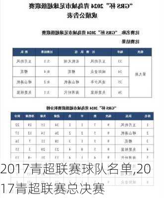 2017青超联赛球队名单,2017青超联赛总决赛