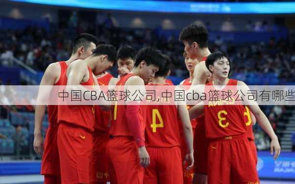 中国CBA篮球公司,中国cba篮球公司有哪些