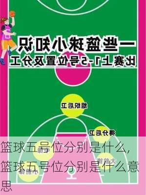 篮球五号位分别是什么,篮球五号位分别是什么意思