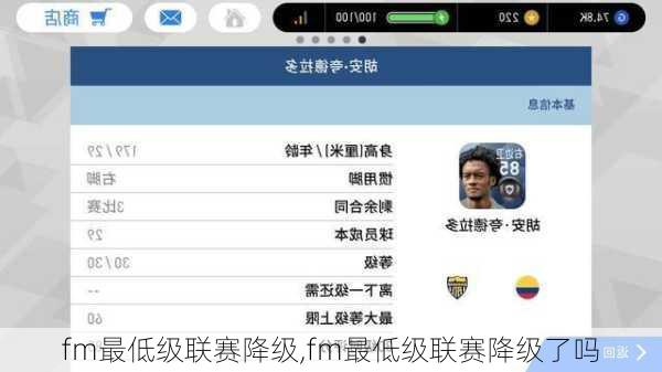 fm最低级联赛降级,fm最低级联赛降级了吗