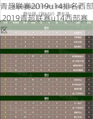 青超联赛2019u14排名西部,2019青超联赛u14西部赛区