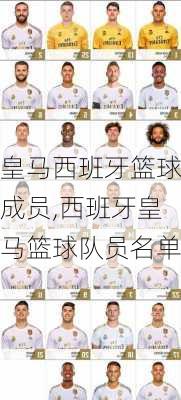 皇马西班牙篮球成员,西班牙皇马篮球队员名单