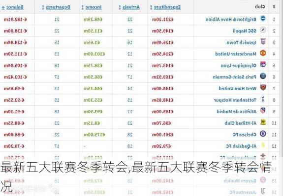 最新五大联赛冬季转会,最新五大联赛冬季转会情况