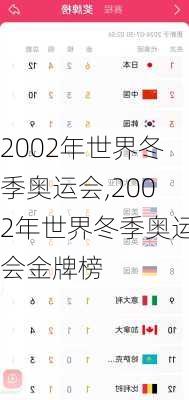 2002年世界冬季奥运会,2002年世界冬季奥运会金牌榜