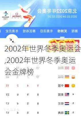 2002年世界冬季奥运会,2002年世界冬季奥运会金牌榜