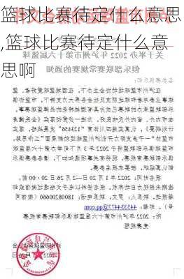 篮球比赛待定什么意思,篮球比赛待定什么意思啊