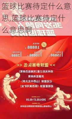 篮球比赛待定什么意思,篮球比赛待定什么意思啊