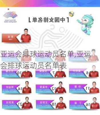 亚运会排球运动员名单,亚运会排球运动员名单表