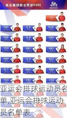 亚运会排球运动员名单,亚运会排球运动员名单表