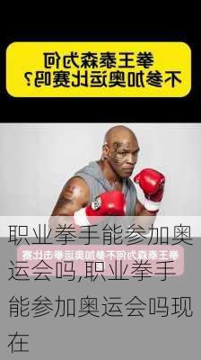 职业拳手能参加奥运会吗,职业拳手能参加奥运会吗现在