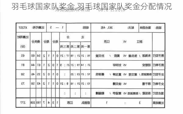 羽毛球国家队奖金,羽毛球国家队奖金分配情况