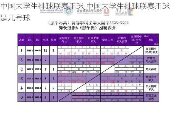 中国大学生排球联赛用球,中国大学生排球联赛用球是几号球