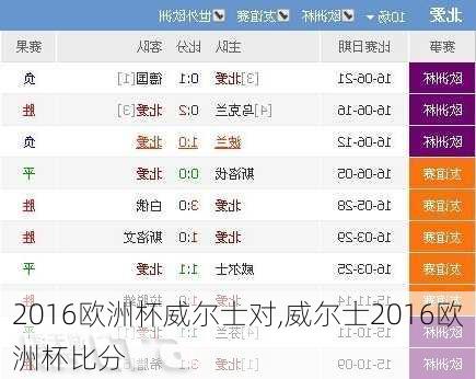 2016欧洲杯威尔士对,威尔士2016欧洲杯比分