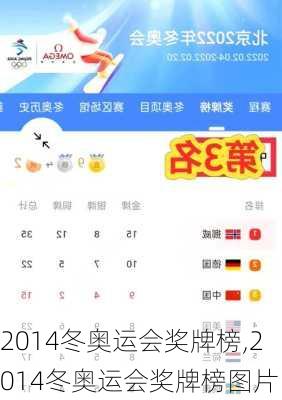 2014冬奥运会奖牌榜,2014冬奥运会奖牌榜图片