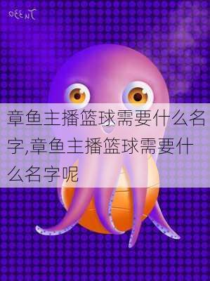 章鱼主播篮球需要什么名字,章鱼主播篮球需要什么名字呢