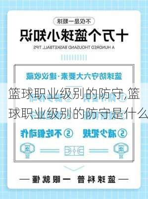 篮球职业级别的防守,篮球职业级别的防守是什么