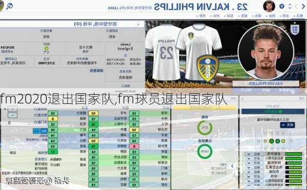 fm2020退出国家队,fm球员退出国家队