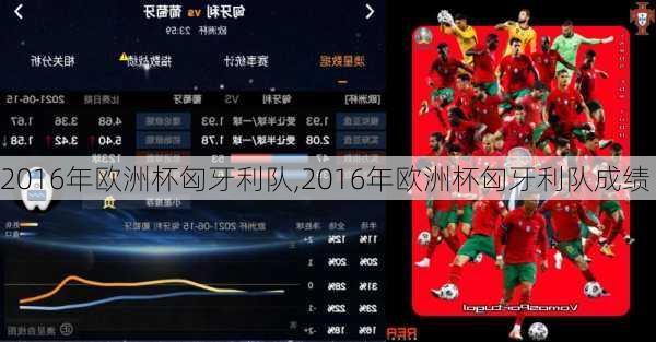 2016年欧洲杯匈牙利队,2016年欧洲杯匈牙利队成绩