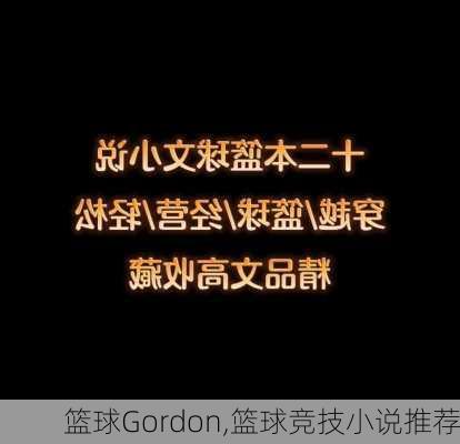 篮球Gordon,篮球竞技小说推荐