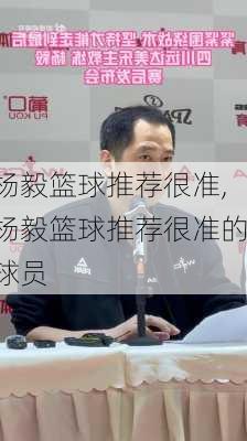 杨毅篮球推荐很准,杨毅篮球推荐很准的球员