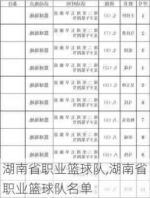 湖南省职业篮球队,湖南省职业篮球队名单