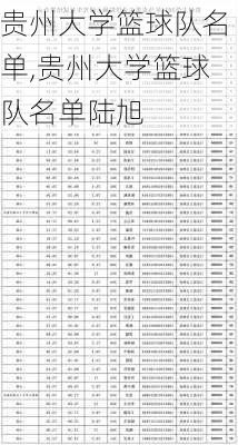 贵州大学篮球队名单,贵州大学篮球队名单陆旭