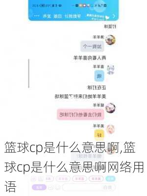 篮球cp是什么意思啊,篮球cp是什么意思啊网络用语