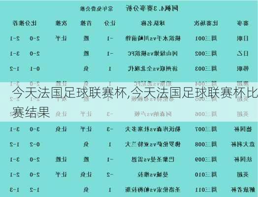 今天法国足球联赛杯,今天法国足球联赛杯比赛结果