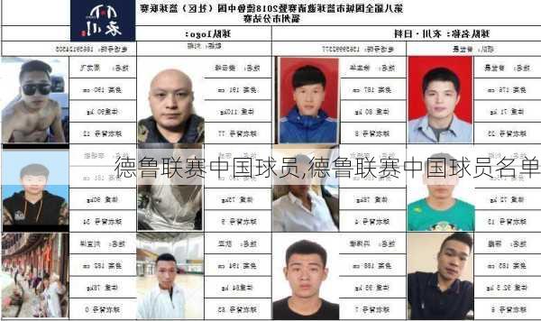 德鲁联赛中国球员,德鲁联赛中国球员名单