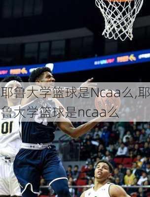 耶鲁大学篮球是Ncaa么,耶鲁大学篮球是ncaa么