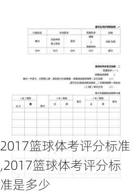 2017篮球体考评分标准,2017篮球体考评分标准是多少