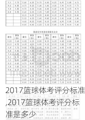 2017篮球体考评分标准,2017篮球体考评分标准是多少